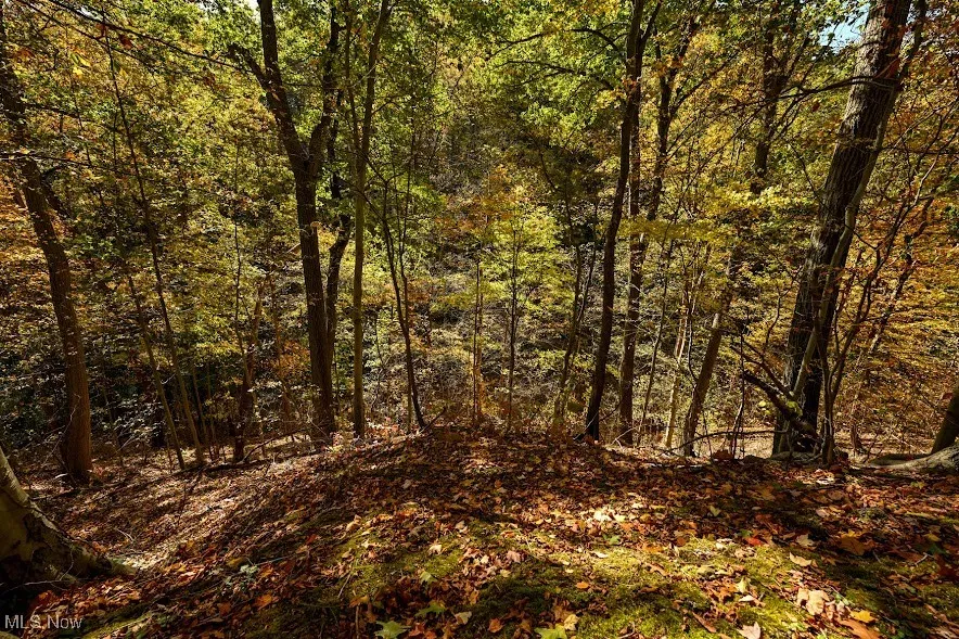 745 Canyon Trail, Akron, Ohio 44303,MLS Now Listing ID