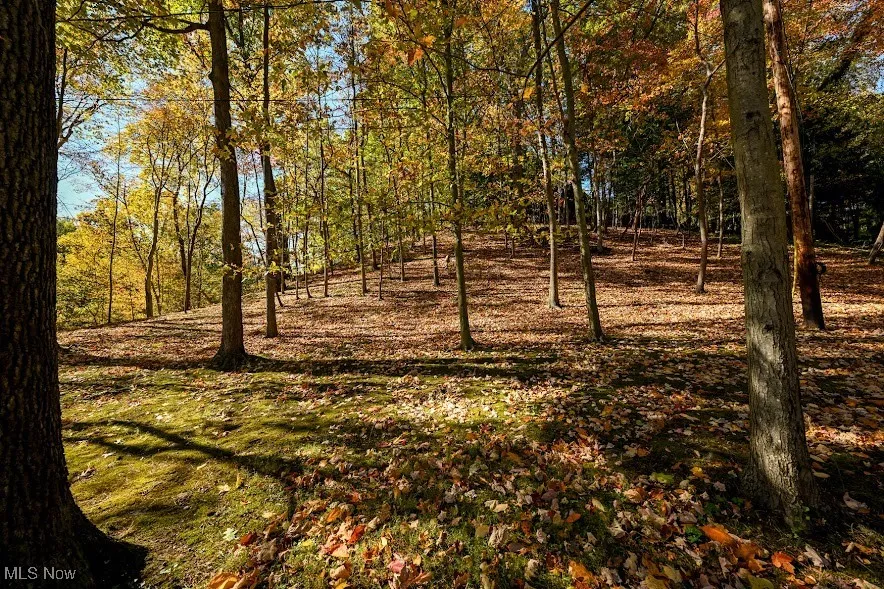 745 Canyon Trail, Akron, Ohio 44303,MLS Now Listing ID