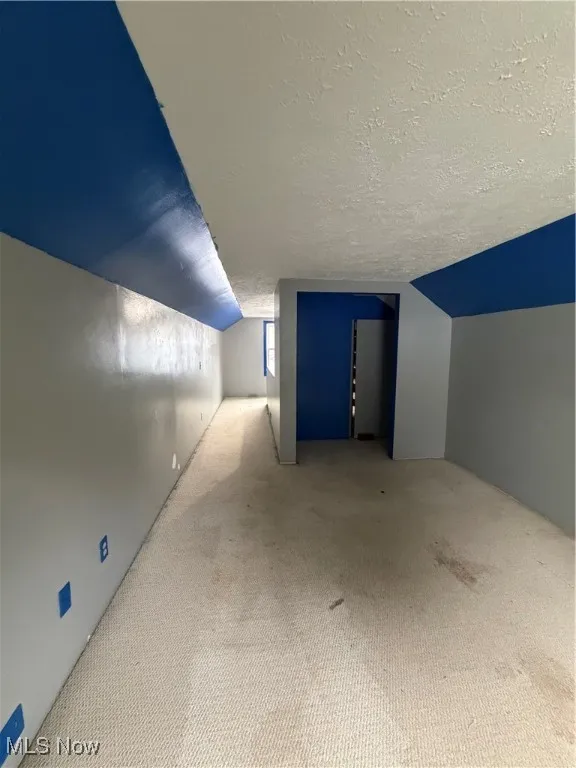 Additional living space featuring carpet, a textured ceiling, and lofted ceiling