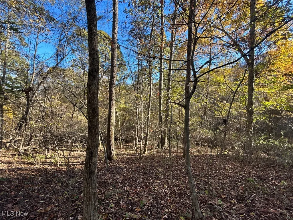 31961 Township Rd. 381, Warsaw, Ohio 43844,MLS Now Listing ID