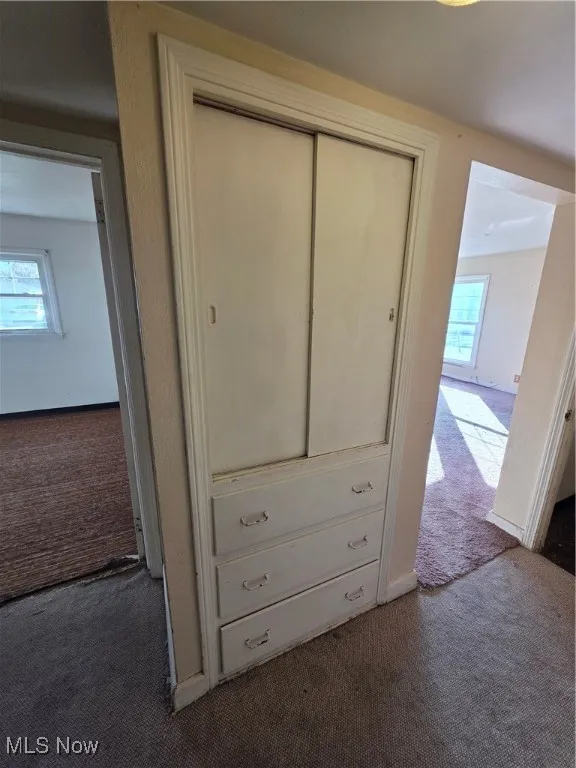 Hallway Linen closet