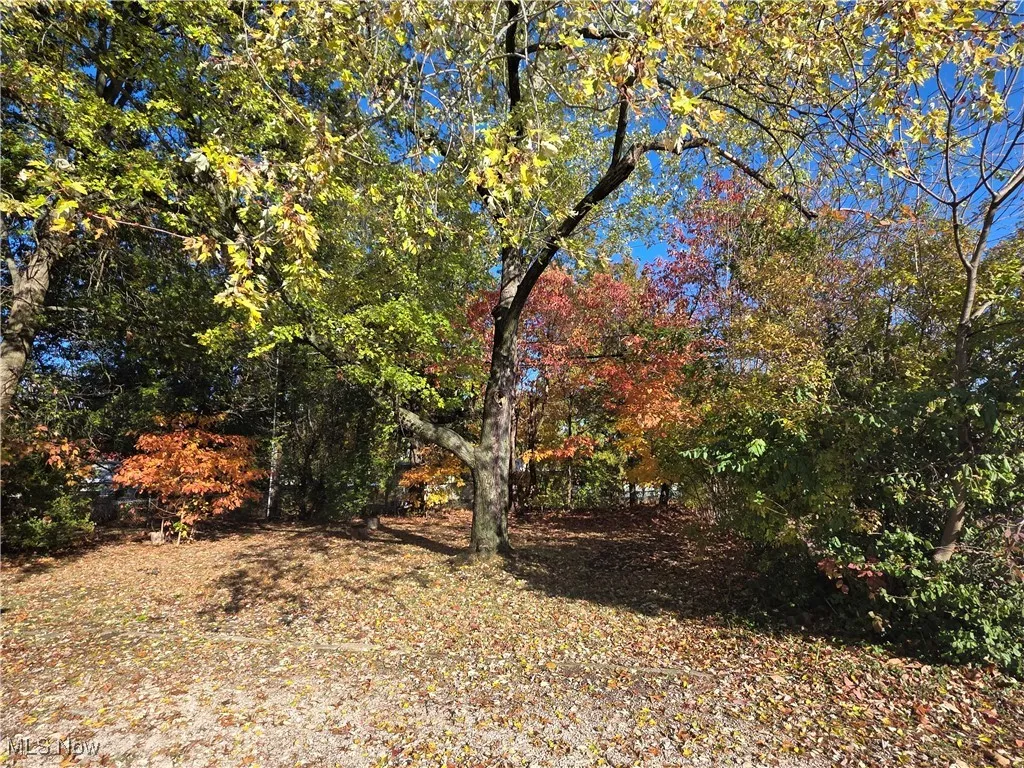 2100 Delmore Street, Cuyahoga Falls, Ohio 44221,MLS Now Listing ID