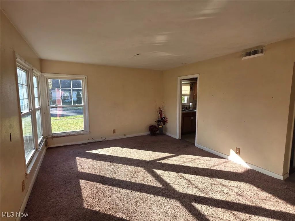 2100 Delmore Street, Cuyahoga Falls, Ohio 44221,MLS Now Listing ID