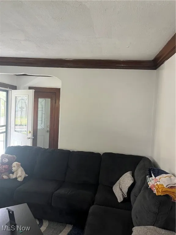 Living room featuring crown molding and a textured ceiling