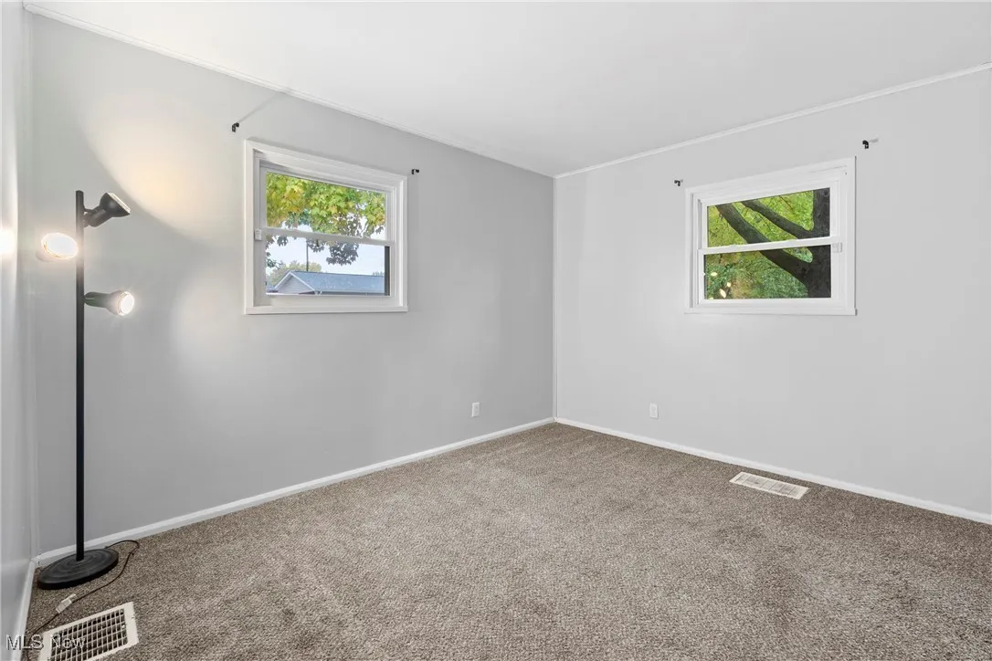 Carpeted spare room with plenty of natural light