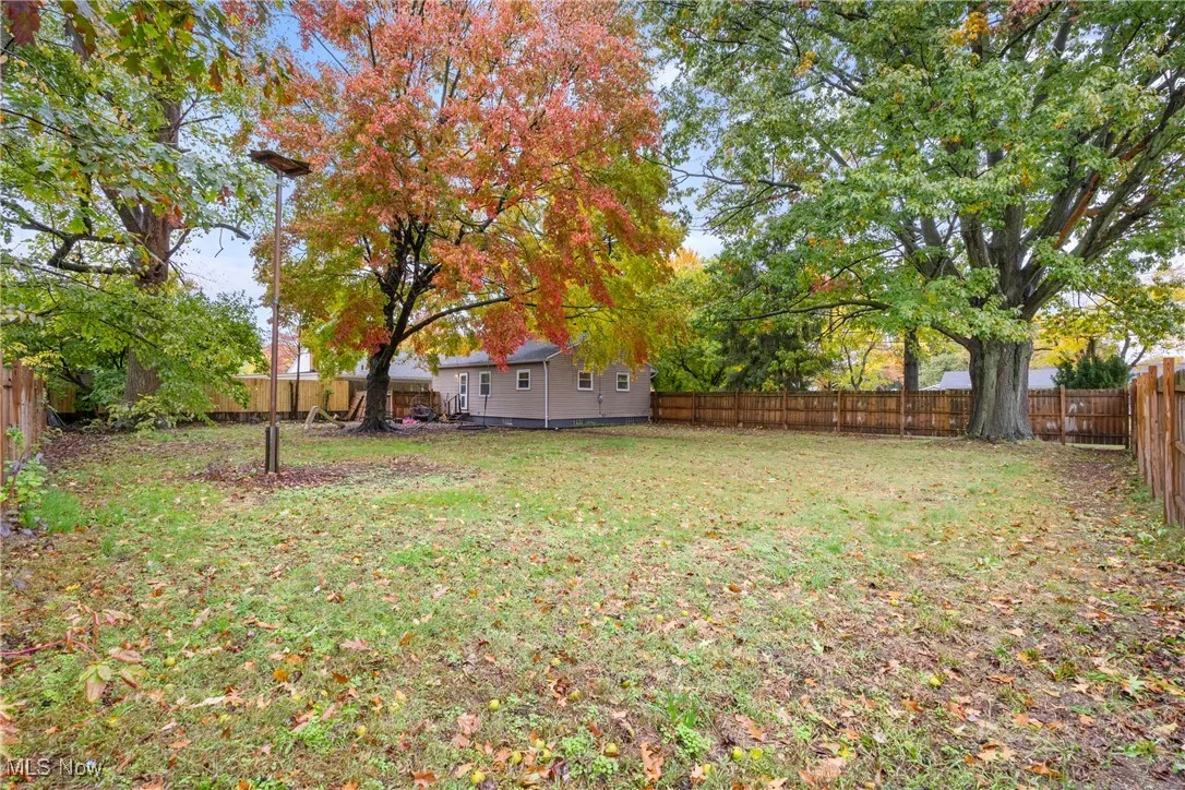 View of fenced backyard