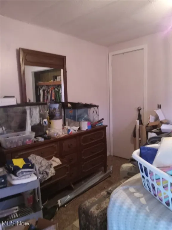 Bedroom featuring carpet flooring and a closet