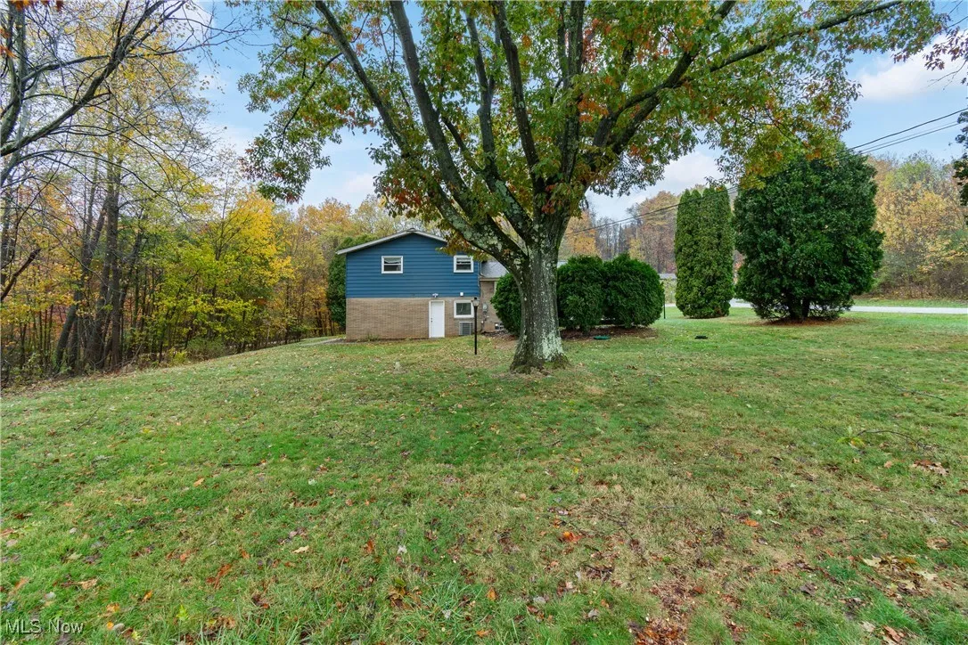 View from the back of the yard