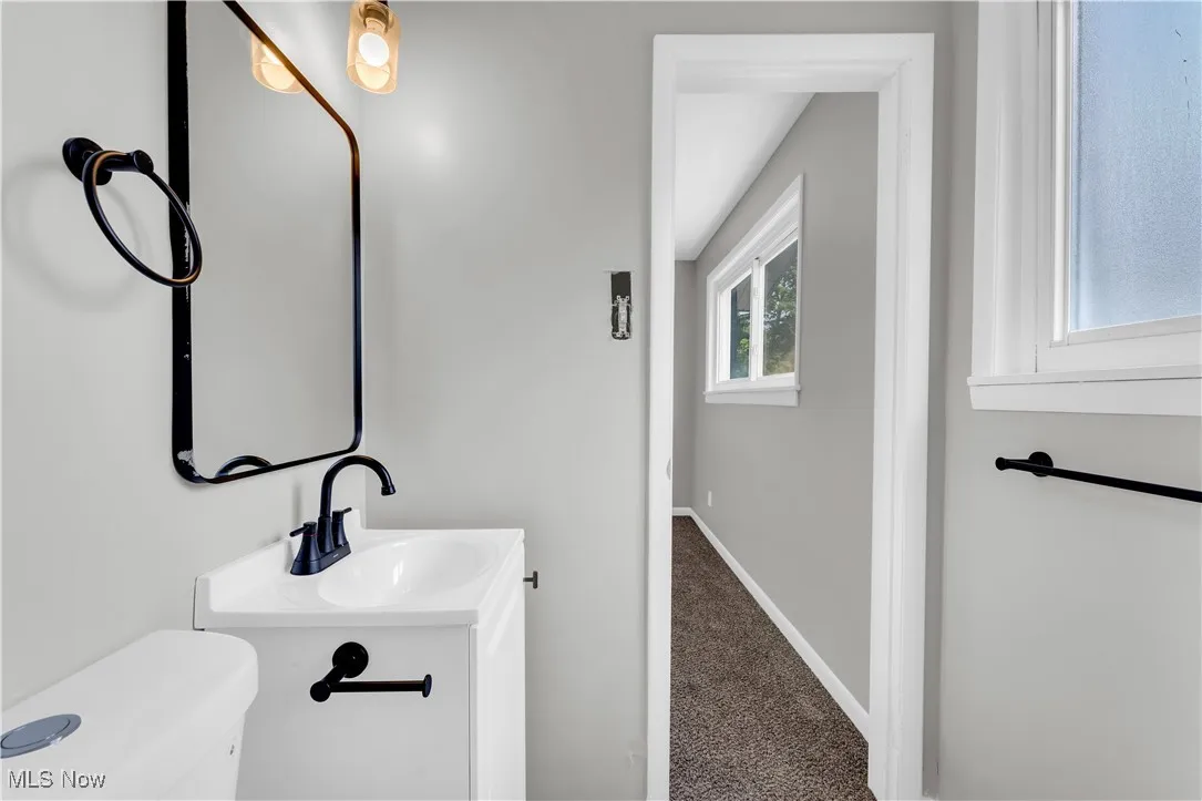 Bathroom with carpet and vanity