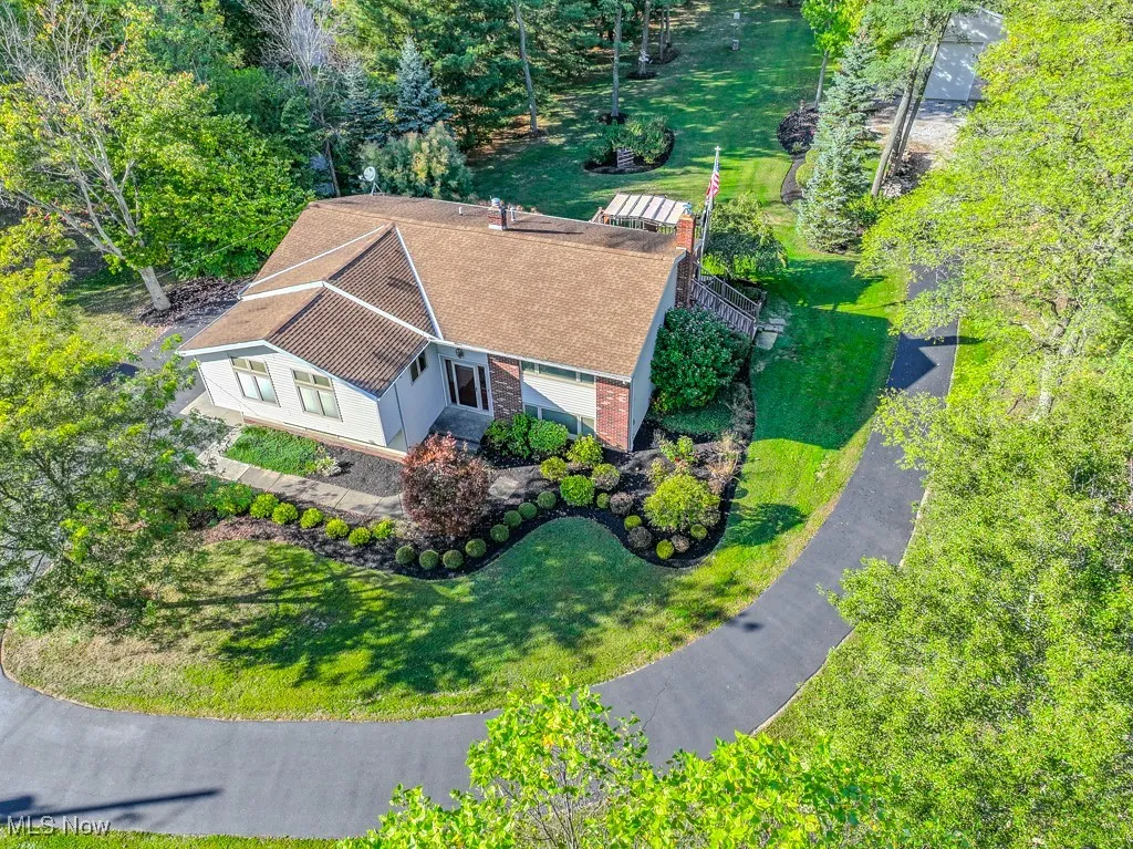 Bird's eye view of a tree filled landscape