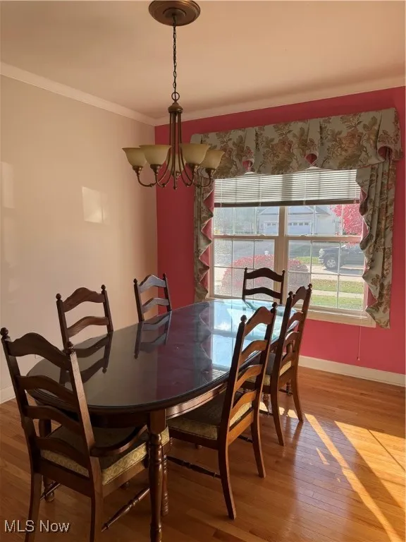 Dining room with wood-type flooring, ornamental molding, and a chandelier