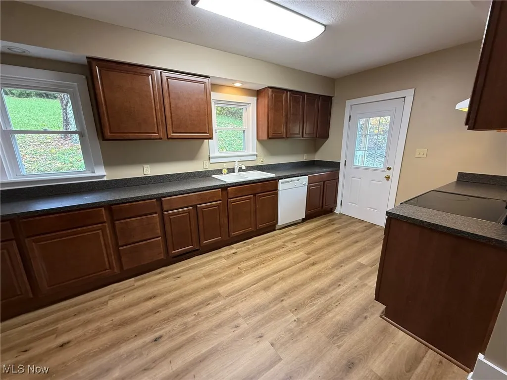 Kitchen featuring dark countertops, light wood-style floors, white dishwasher, and dark brown cabinets