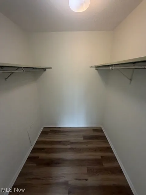 Walk in closet with dark wood finished floors