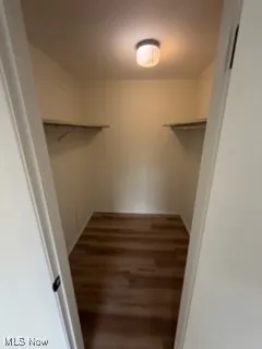 Walk in closet featuring wood finished floors