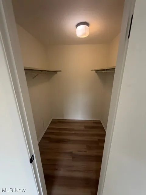 Walk in closet featuring dark wood finished floors