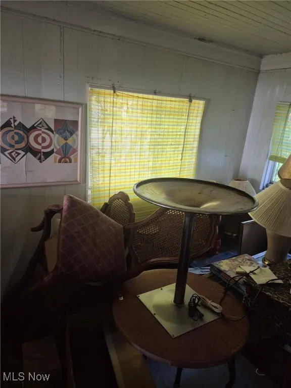 Dining area featuring wooden walls and plenty of natural light