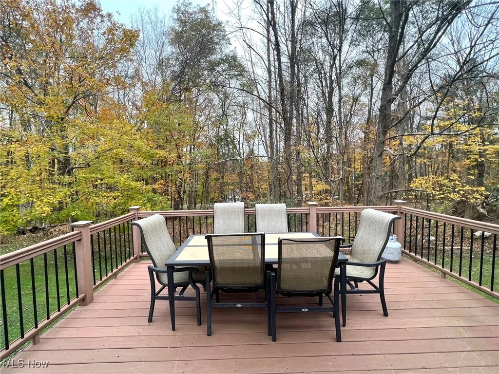 14205 Country River Lane, Newbury, Ohio 44065,MLS Now Listing ID