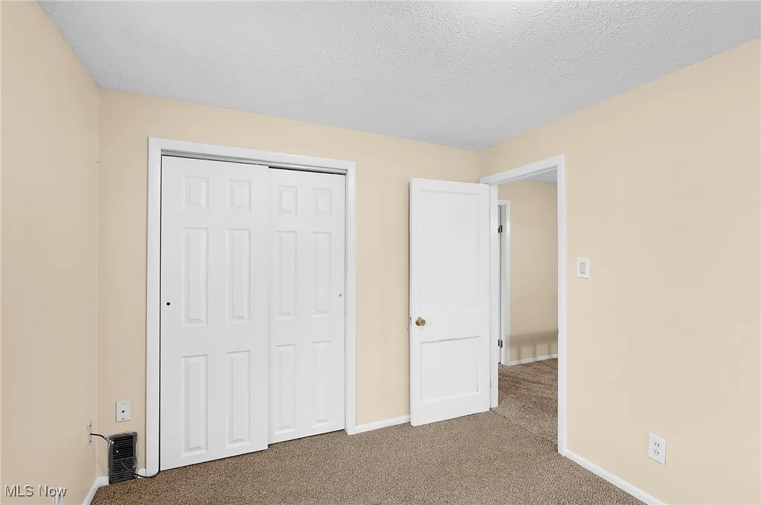 Unfurnished bedroom featuring carpet floors, a textured ceiling, and a closet