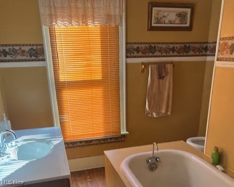 Full bathroom featuring vanity, and a garden tub