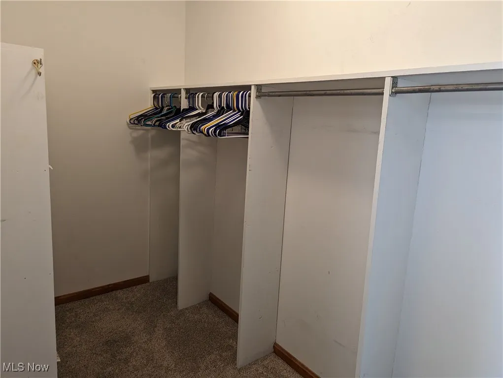 Spacious closet featuring carpet flooring off master bath