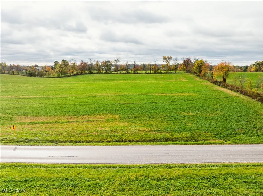 View of community featuring a yard