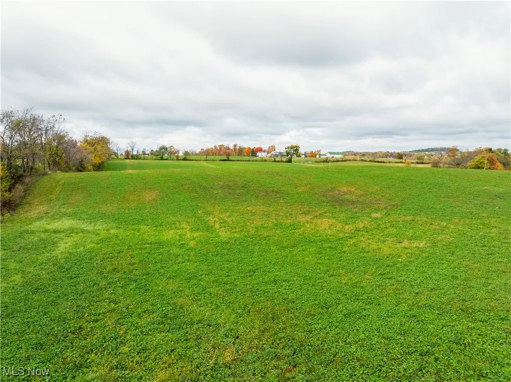 View of grassy yard featuring a view of rural / pastoral area