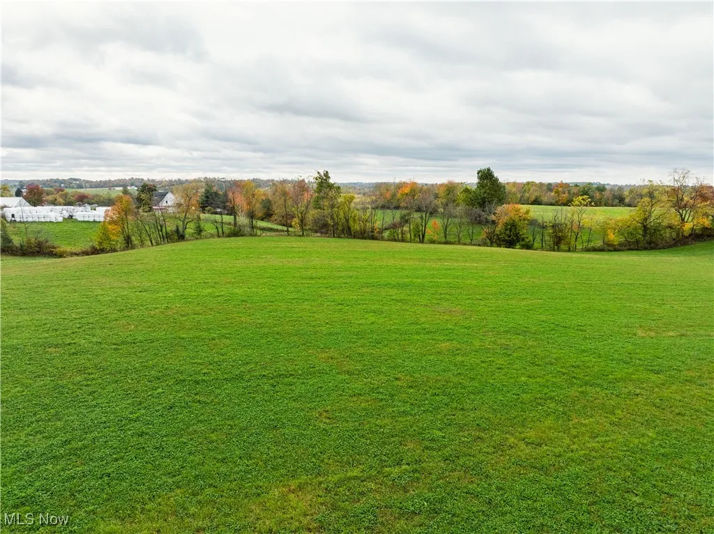 View of grassy yard with a view of rural / pastoral area
