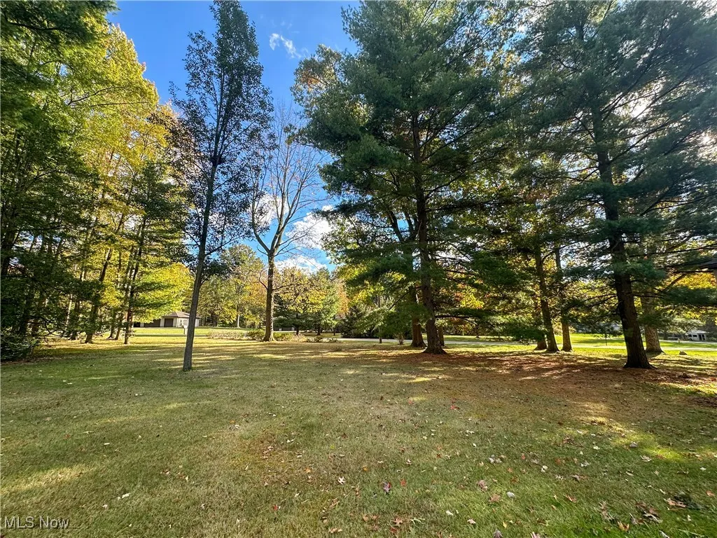 Side yard looking toward Hillside Drive