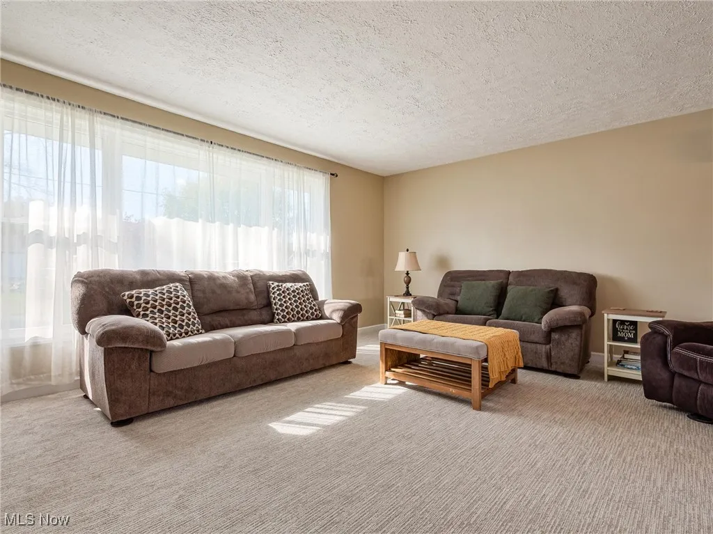 Carpeted living room featuring a textured ceiling and baseboards