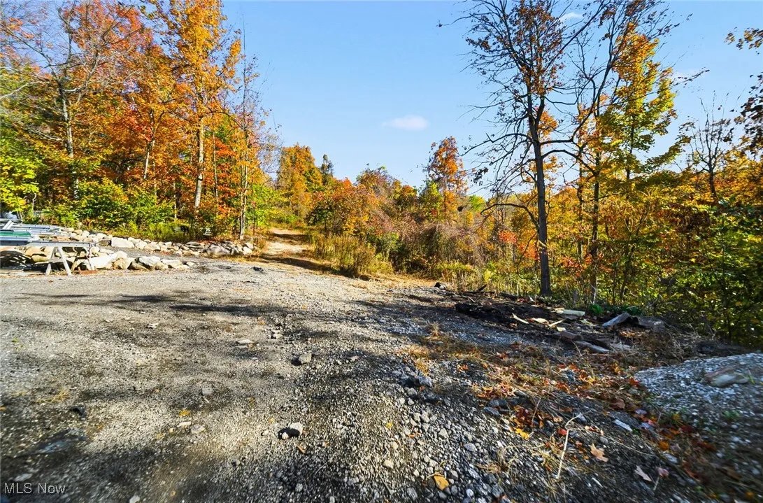 10640 Butternut Road, Chesterland, Ohio 44026,MLS Now Listing ID