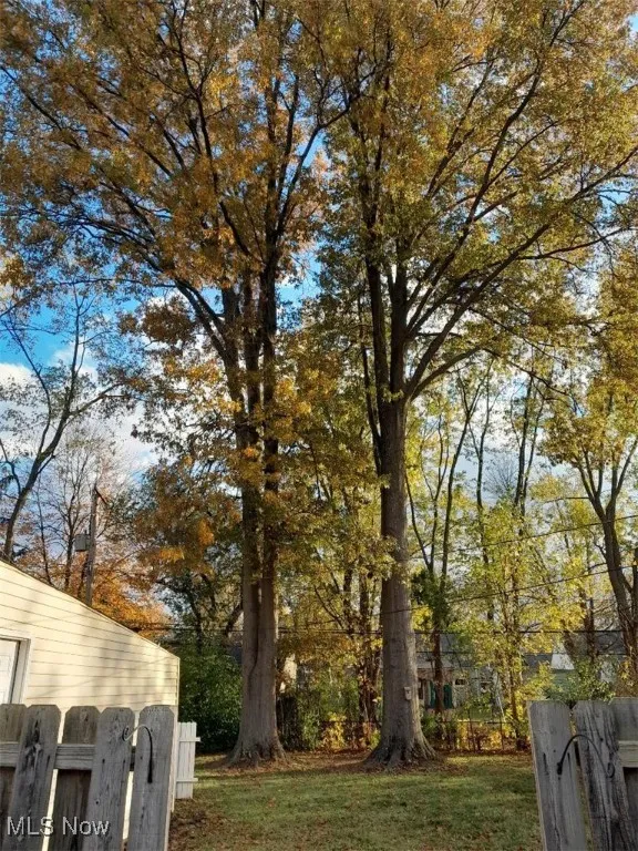 View of yard with view of scattered trees