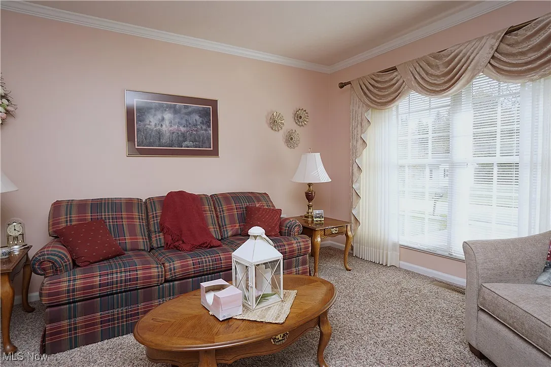 Living area featuring ornamental molding and carpet floors