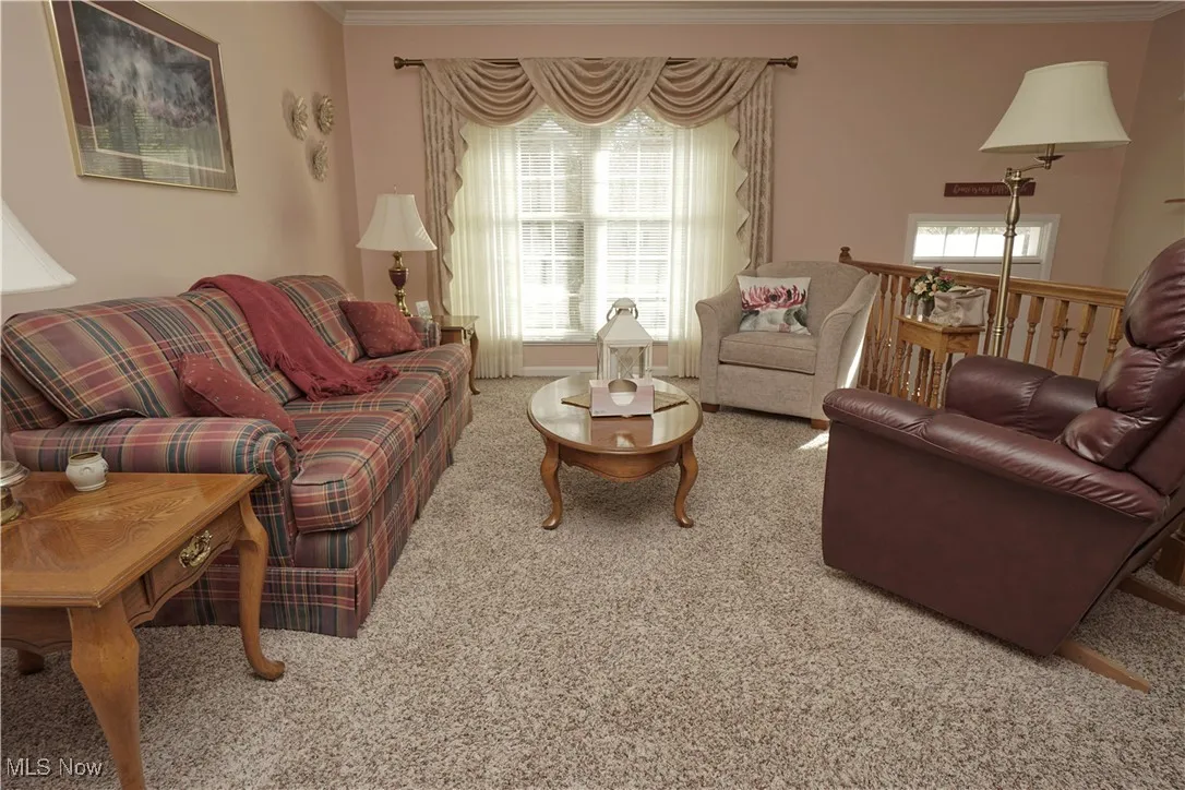 Living room featuring crown molding and carpet flooring