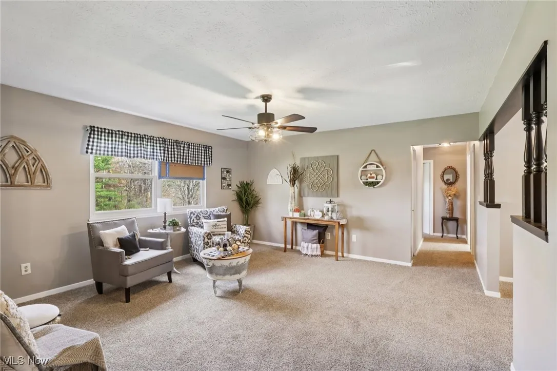Living area featuring carpet floors, ceiling fan, and a textured ceiling
