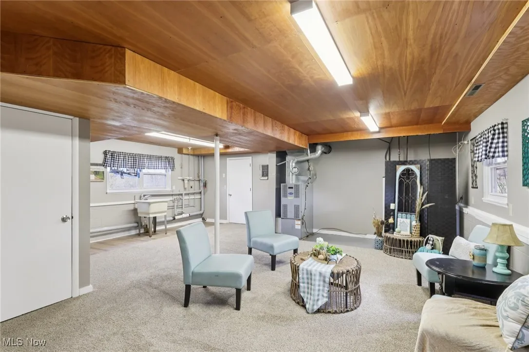 Living room featuring carpet, wood ceiling, and heating unit