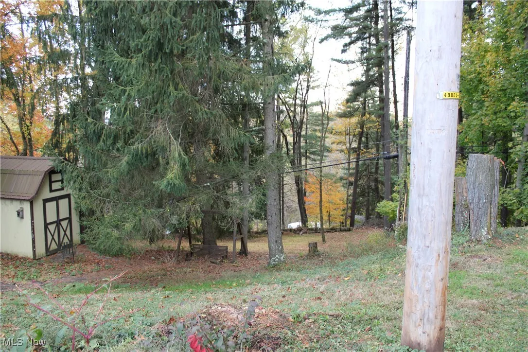 View of yard featuring a storage shed