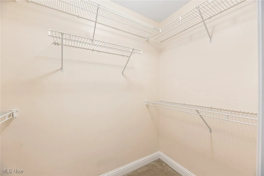 Spacious closet featuring light carpet