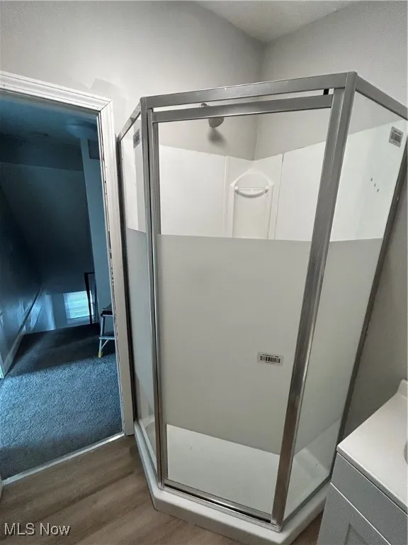 Bathroom with wood finished floors, a shower stall, and vanity