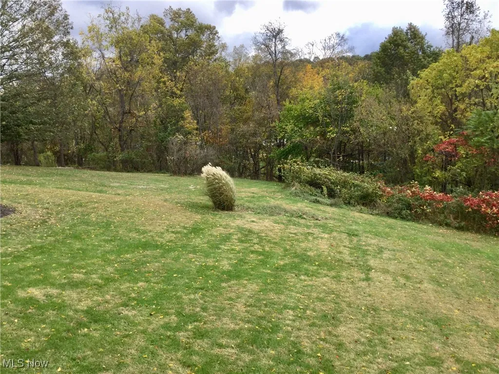 View of green lawn featuring a forest view