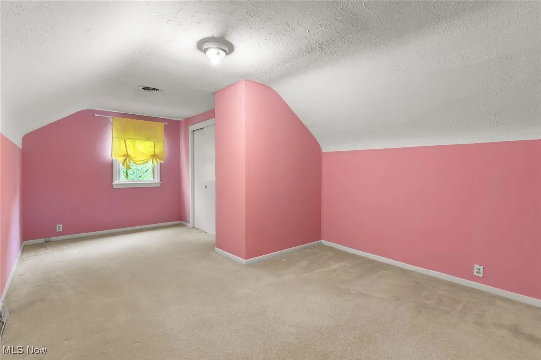 Additional living space featuring a textured ceiling, carpet, and vaulted ceiling