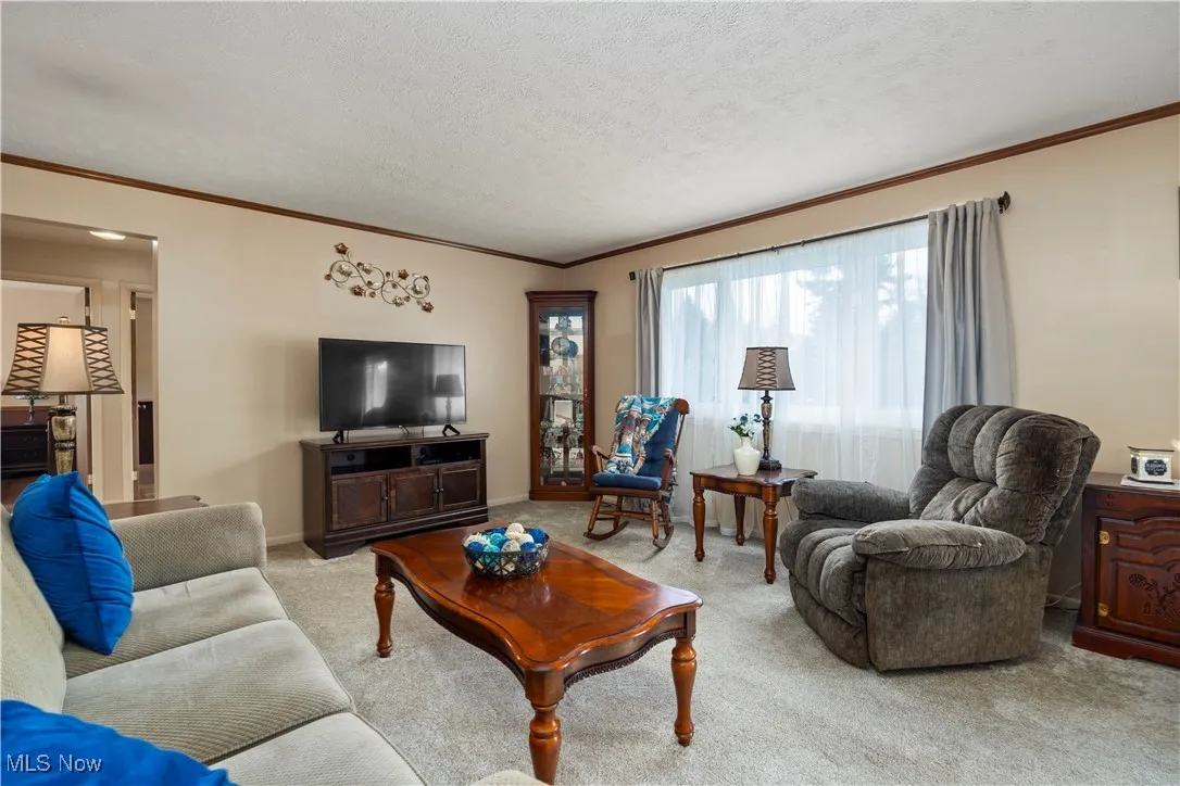 Living area with ornamental molding, light colored carpet, and a textured ceiling