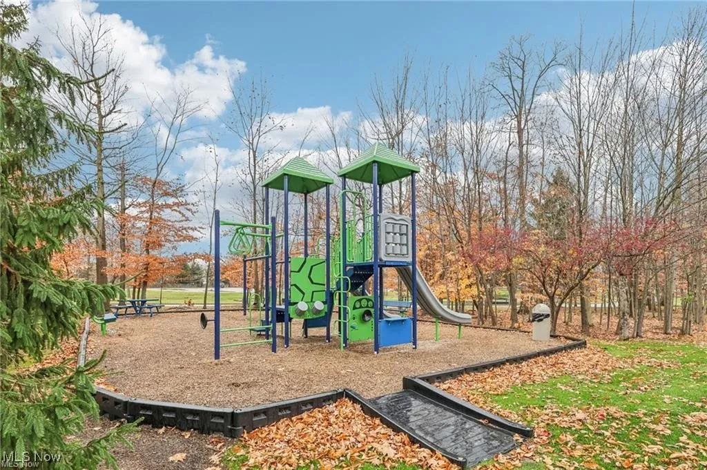 View of community jungle gym