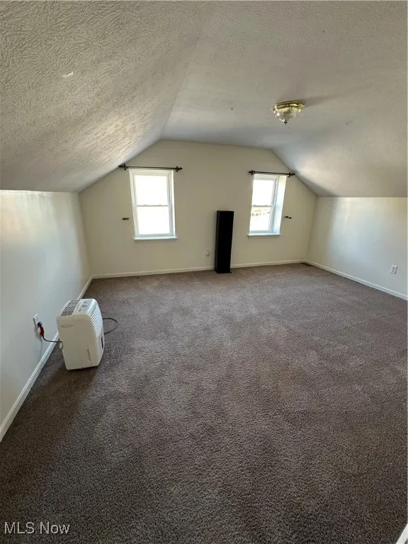 Additional living space with vaulted ceiling, carpet, and a textured ceiling