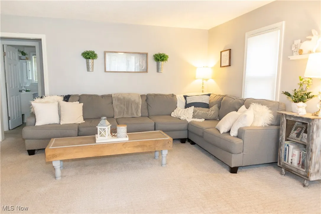 Living room featuring carpet and plenty of natural light
