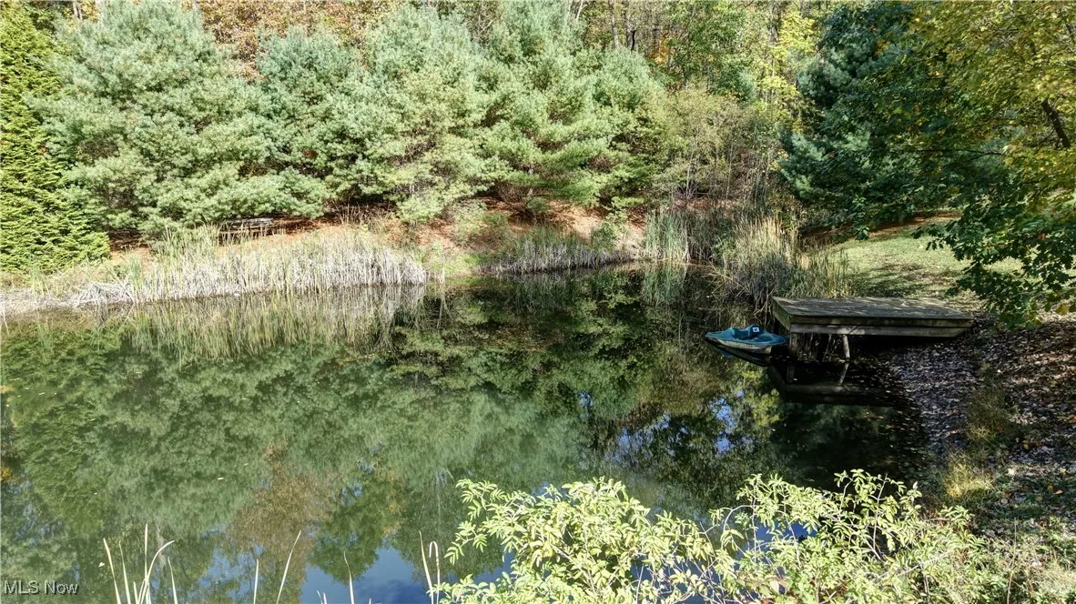 Exterior view of a forest