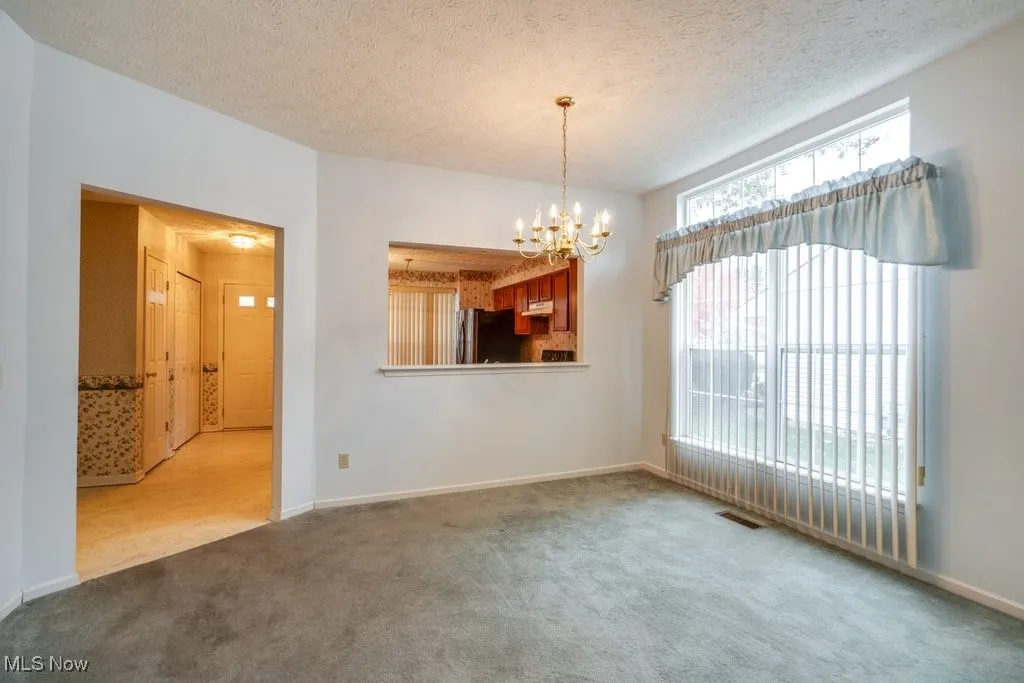 1111 Lake Meadow Lane, Medina, Ohio 44212,MLS Now Listing ID