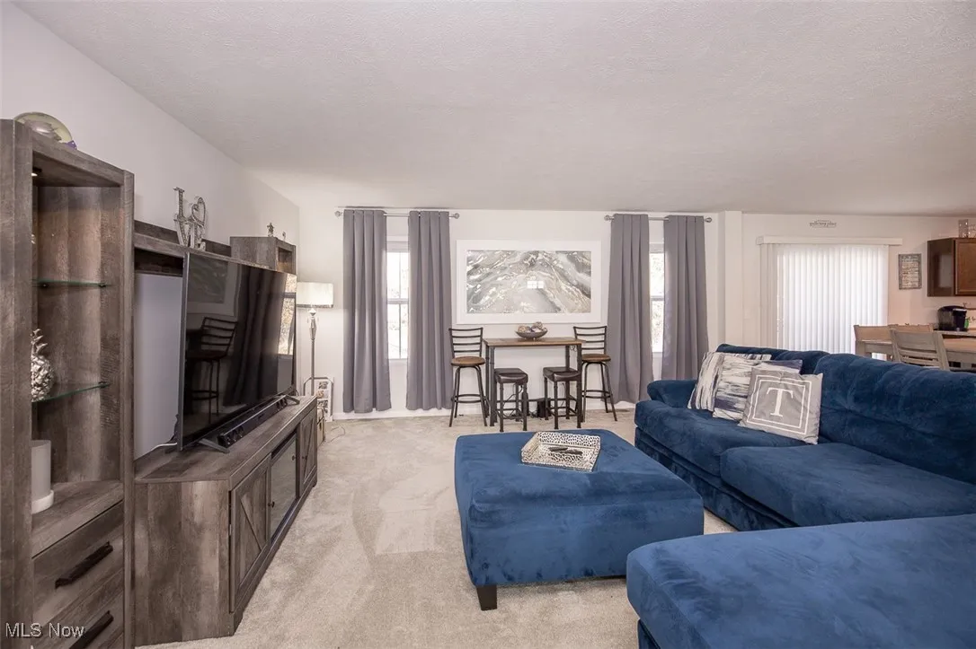 Living room featuring carpet floors and a textured ceiling