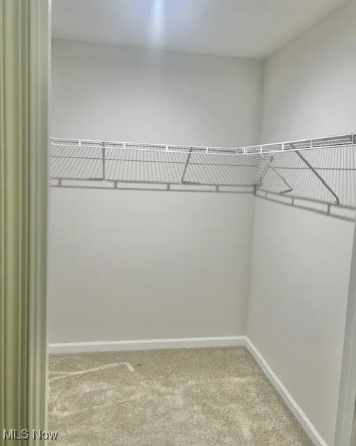 Walk in closet featuring light carpet