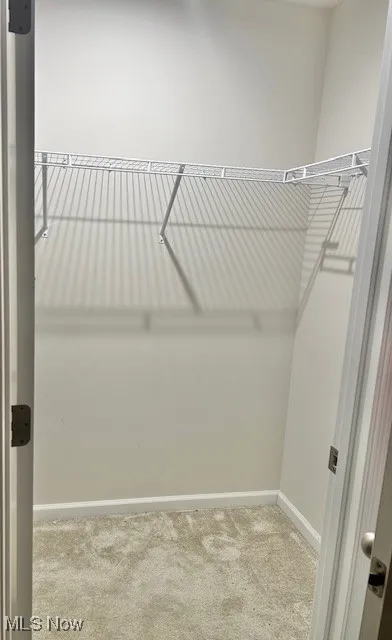 Spacious closet with light colored carpet