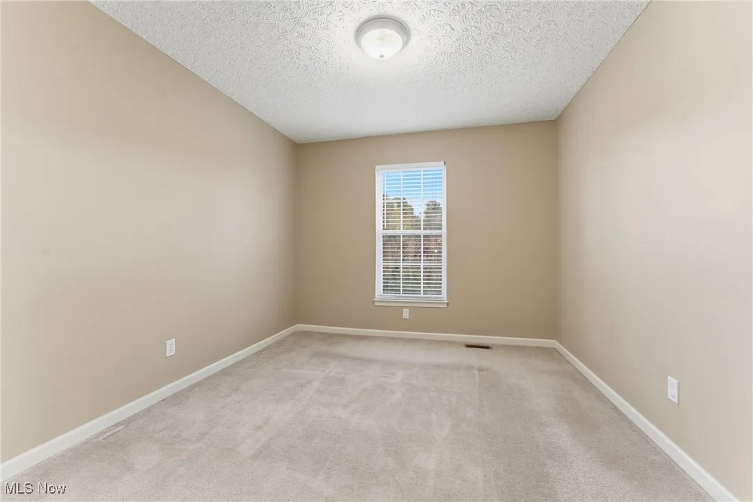 Unfurnished room featuring light colored carpet and a textured ceiling